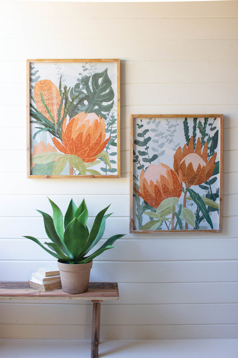 Set of 2 - Framed Protea Prints Under Glass