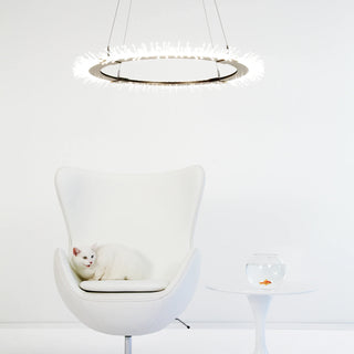 Anemone Circular LED Pendant