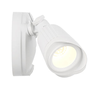 LED Double Flood Light in White