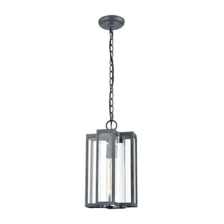 Bianca 8'' Wide 1-Light Outdoor Pendant - Aged Zinc