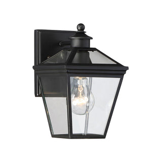 Ellijay 1-Light Outdoor Wall Lantern in Black Black