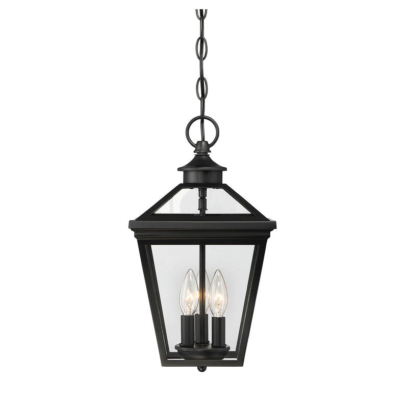 Ellijay 3-Light Outdoor Hanging Lantern in Black Black