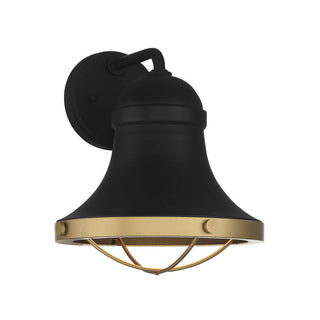 Belmont 1-Light Outdoor Dark Sky Wall Lantern in Textured Black with Warm Brass Accents Textured Black with Warm Brass Accents