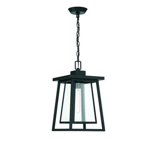 Denver 1-Light Outdoor Hanging Lantern in Matte Black Matte Black