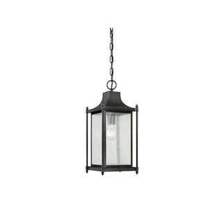 Dunnmore 1-Light Outdoor Hanging Lantern in Black Black