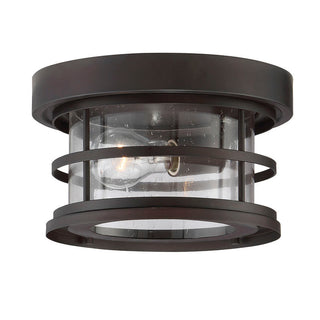 Barrett 1-Light Outdoor Ceiling Light in English Bronze English Bronze