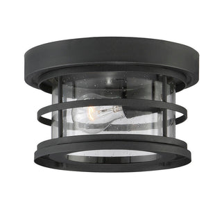 Barrett 1-Light Outdoor Ceiling Light in Black Black