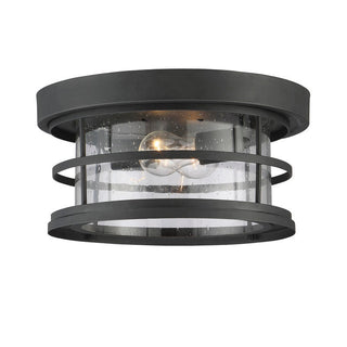 Barrett 2-Light Outdoor Ceiling Light in Black Black