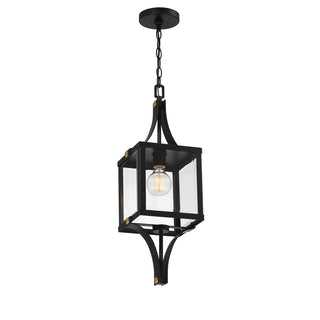 Raeburn 1-Light Outdoor Hanging Lantern in Matte Black and Weathered Brushed Brass