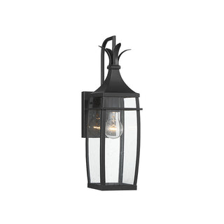 Montpelier 1-Light Outdoor Wall Lantern in Matte Black Matte Black