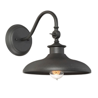 Raleigh 1-Light Outdoor Wall Lantern in Black Black