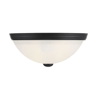 2-Light Ceiling Light in Matte Black Matte Black