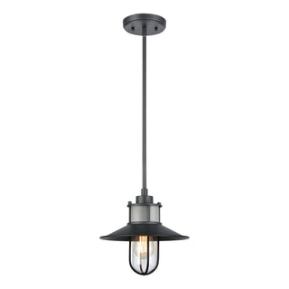 Coastal Farm 10'' Wide 1-Light Outdoor Pendant - Charcoal