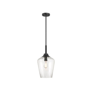 Carlton 1-Light Pendant in Matte Black Matte Black