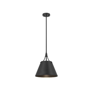 Willis 1-Light Pendant in Matte Black Matte Black