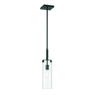 Winfield 1-Light Mini-Pendant in Matte Black Matte Black