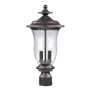 Trinity 20'' High 2-Light Outdoor Post Light - Oil Rubbed Bronze