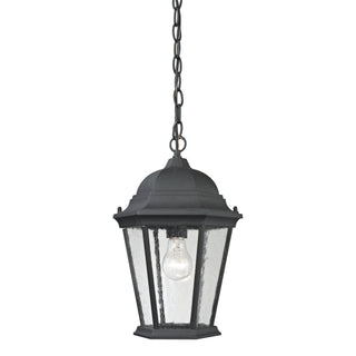 Temple Hill 10'' Wide 1-Light Outdoor Pendant - Matte Textured Black