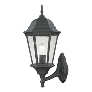 Temple Hill 21'' High 1-Light Outdoor Sconce - Matte Textured Black