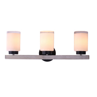 Briggs 24'' Wide 3-Light Vanity Light - Black