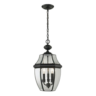 Ashford 12'' Wide 3-Light Outdoor Pendant - Black