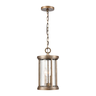 Brison 8'' Wide 2-Light Outdoor Pendant - Vintage Brass