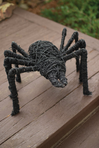 PAINTED TWIG SPIDER - BLACK