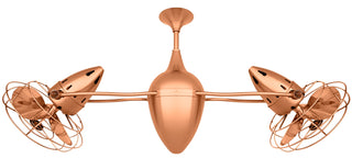 Ar Ruthiane series 360° dual headed rotational ceiling fan. Multiple finish options to choose from. Brushed Copper / Brushed Copper Finish / 46 Inch