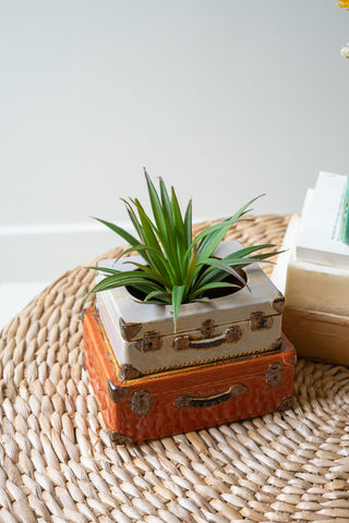 SET OF TWO CERAMIC SUIT CASES PLANTERS