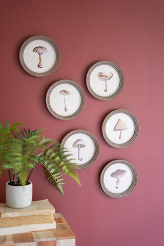 SET OF SIX ROUND FRAMED MUSHROOM PRINTS UNDER GLASS