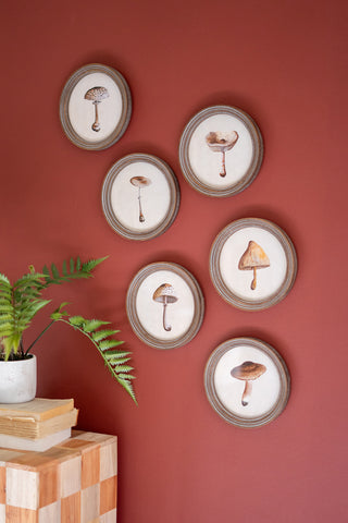 SET OF SIX ROUND FRAMED MUSHROOM PRINTS UNDER GLASS