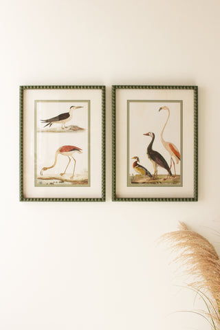 SET OF TWO BIRDS PRINTS UNDER GLASS