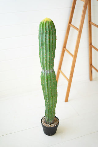 ARTIFICIAL SINGLE TRUNK CACTUS IN A PLASTIC POT