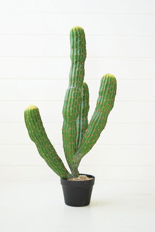 ARTIFICIAL MULTI TRUNK CACTUS IN A PLASTIC POT