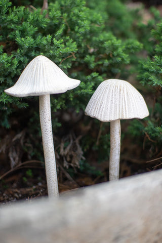 SET OF TWO CAST IRON MUSHROOMS - ANTIQUE WHITE