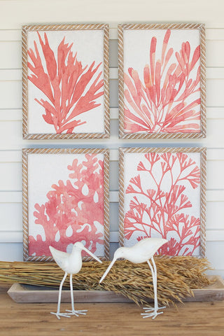 SET OF FOUR CORAL PRINTS WITH WOODEN FRAMES