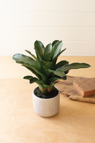 ARTIFICIAL SUCCULENT PLANT IN A CERAMIC POT