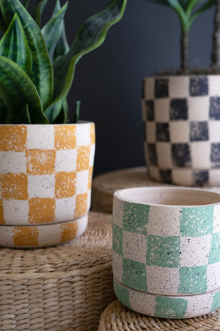 SET OF THREE CHECKERED CLAY PLANTERS WITH TRAYS