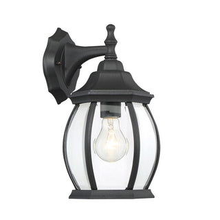 1-Light Outdoor Wall Lantern in Black Black