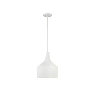 1-Light Pendant in Bisque White Bisque White