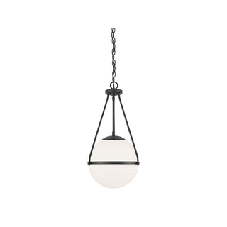 1-Light Pendant in Matte Black Matte Black