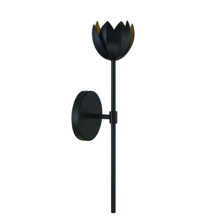 1-Light LED Wall Sconce in Matte Black Matte Black