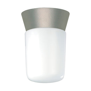 1 Light - 8" - Utility; Ceiling Mount - With White Glass Cylinder - Satin Aluminum Finish