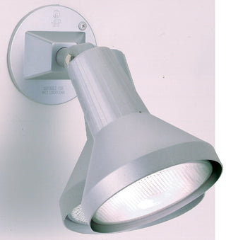 1 LIGHT 8" PAR38 FLOODLIGHT