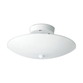 2 LIGHT 12" ROUND CEILING