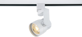 1 Light - LED - 12W Track Head - Angle Arm - White - 36 Deg. Beam