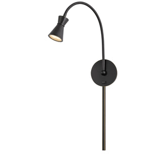 Acerra Integrated Led Gooseneck Wall Lamp