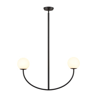 Doby 30'' Wide 2-Light Pendant - Matte Black