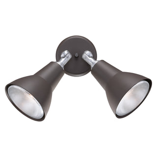 Daley 11'' High 2-Light Outdoor Sconce - Black