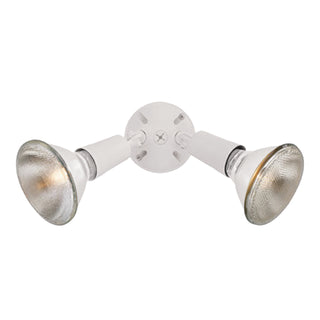 Daley 6'' High 2-Light Outdoor Sconce - White